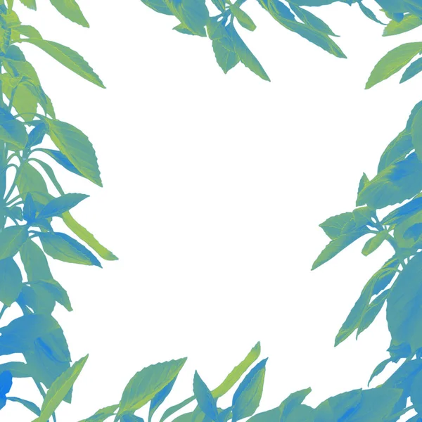 Frame Text Made Green Blue Leaves White Sheet Paper — Fotografia de Stock
