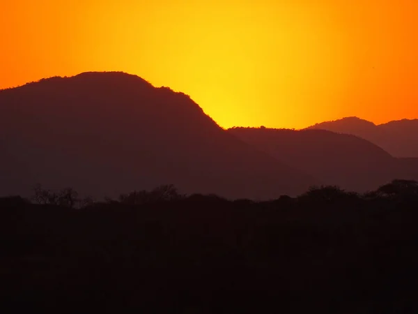 Scenic View Golden Sunset Safari — Foto de Stock