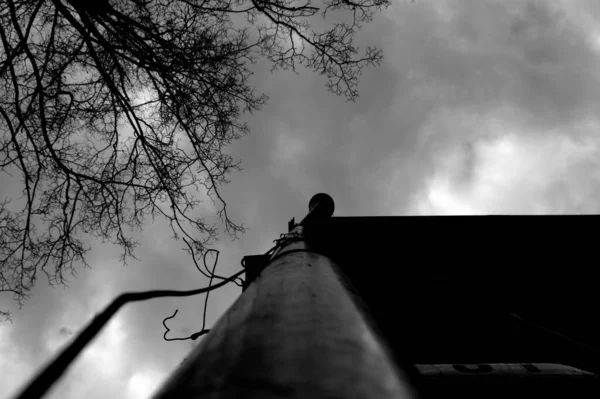 Сірий Низький Кут Полюса Стеля Деревом Хмарне Небо — стокове фото