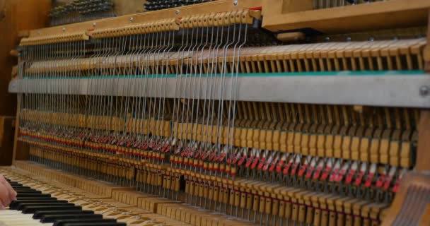 古いピアノのキーボードには糸がたくさんあり — ストック動画