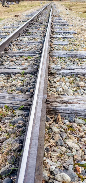 Вертикальный Снимок Железной Дороги Поле — стоковое фото