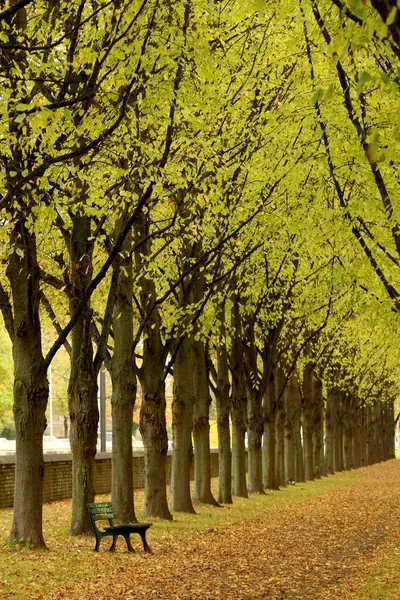 Eine Atemberaubende Herbststimmung Den Gärten Von Herrenhausen Hannover Niedersachsen — Stockfoto