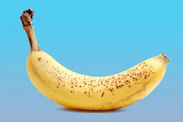蓝色背景的成熟黄色香蕉特写 — 图库照片