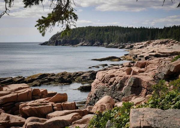 Krásný Výhled Národní Park Acadia Usa — Stock fotografie