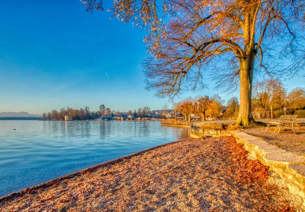 Shore Starnberger See Tutzing Germany — Foto Stock