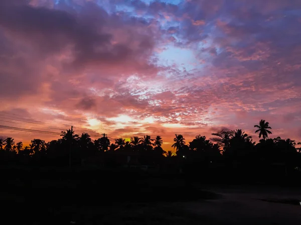 日落时分 在五彩斑斓的云天下 树木的轮廓 — 图库照片