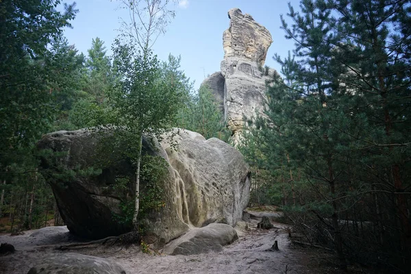 Les Rochers Les Forêts Dans Paradis Bohême Tchéquie — Photo