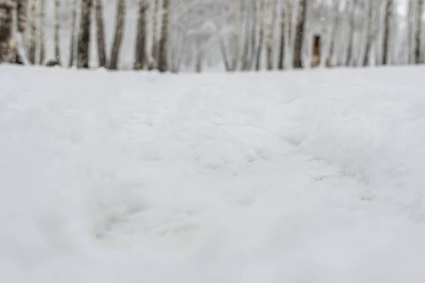Stezka Hlubokém Bílém Sněhu Vedoucí Břízovému Háji Světlý Zimní Den — Stock fotografie