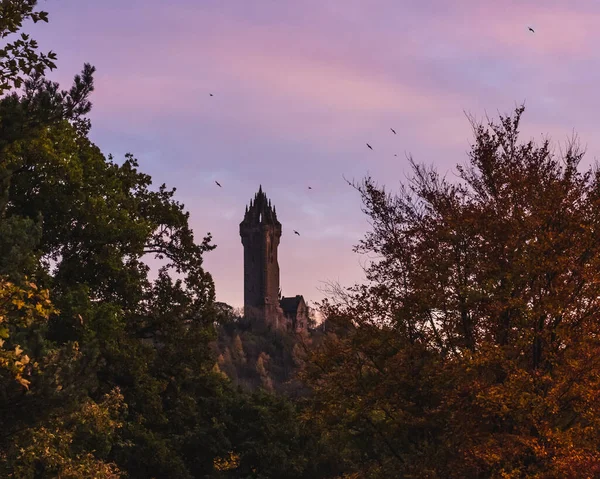 ピンクの夕日の間の国立ウォレス記念碑の美しい景色 — ストック写真