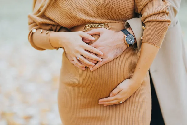 Una Hermosa Foto Una Mujer Embarazada Con Hombre Sosteniendo Vientre —  Fotos de Stock