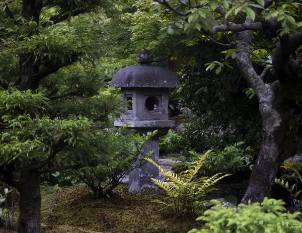 Wooden Birdhouse Hanging Park Dense Green Trees — Stockfoto