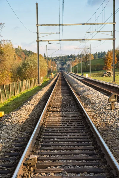 Demiryolu Raylarının Dikey Çekimi — Stok fotoğraf