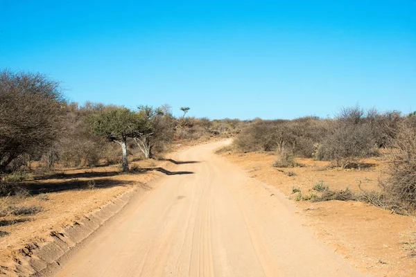 Маршрут Национальный Парк Эринди Намибия — стоковое фото
