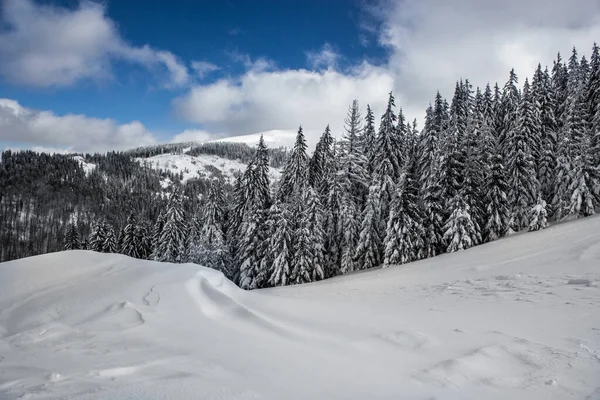 Los Árboles Cubiertos Nieve Las Montañas Invierno —  Fotos de Stock