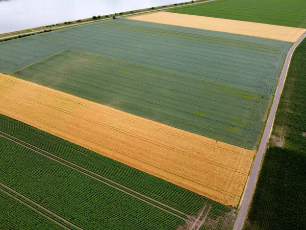 Aerial Shot Agricultural Field — Stockfoto