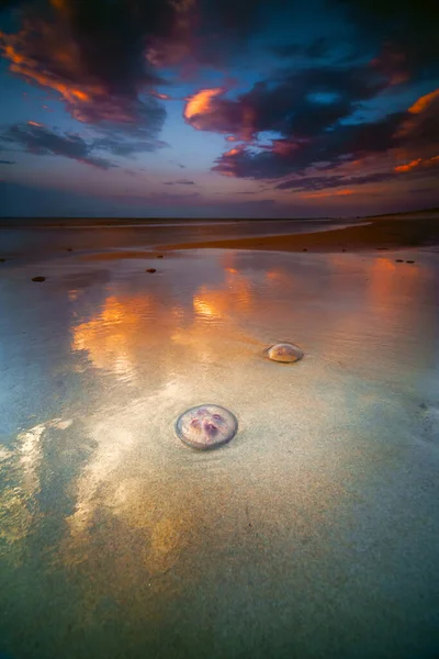 Pionowe Ujęcie Zapierającego Dech Piersiach Zachodu Słońca Nad Morzem Bałtyckim — Zdjęcie stockowe