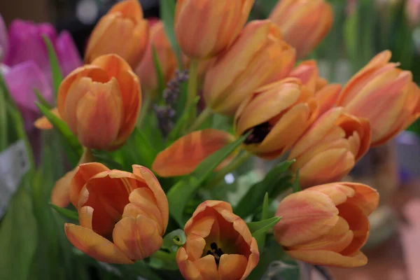 Eine Nahaufnahme Eines Straußes Mit Orangen Tulpenblüten Geschenk — Stockfoto