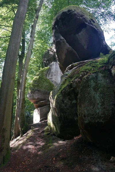 チェコのボヘミアン パラダイスにある岩や森 — ストック写真