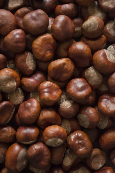 Layer Chestnuts Background Laid Surface — Fotografia de Stock