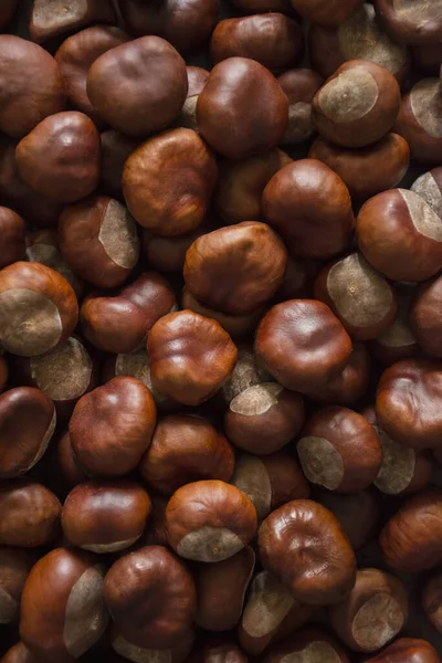 Een Laag Kastanjes Als Achtergrond Een Oppervlak — Stockfoto