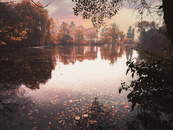 Piękne Refleksyjne Jezioro Jesiennym Parku — Zdjęcie stockowe