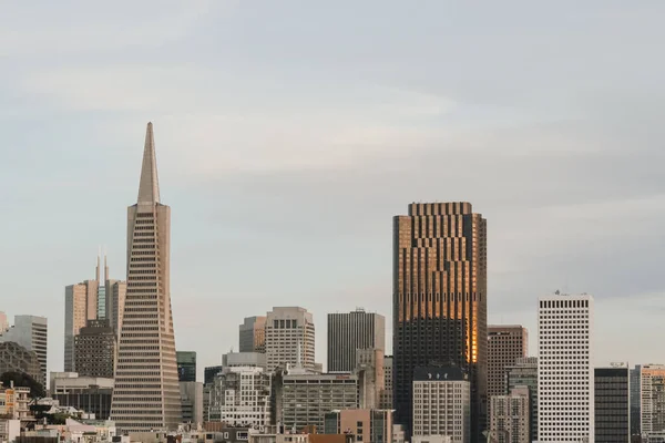 Een Prachtig Uitzicht Wolkenkrabbers Onder Een Heldere Hemel San Francisco — Stockfoto