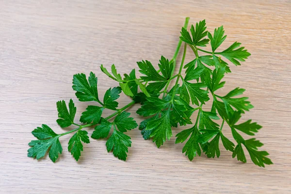 Gros Plan Feuilles Persil Sur Une Table — Photo