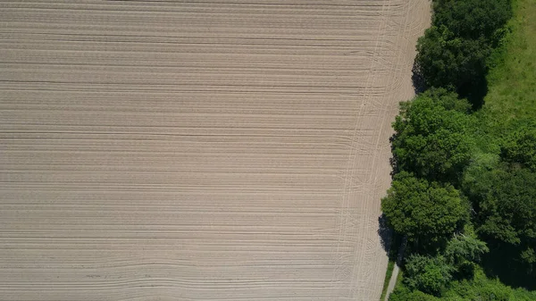 Harvested Agricultural Field Bird Eye View — 图库照片