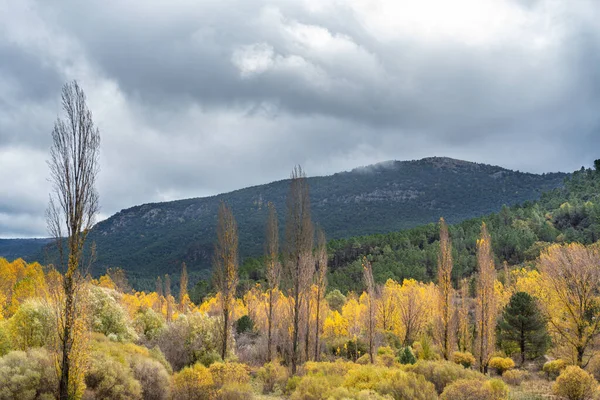 Mesmerizing Landscape View Hills Covered Green Yellow Vegetation Cloudy Sky — Stockfoto