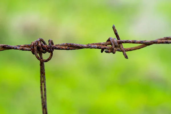 Een Close Shot Van Prikkeldraad Wazige Achtergrond — Stockfoto