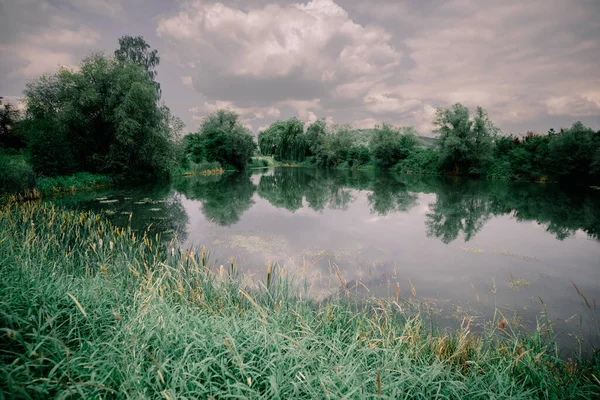 Het Uitzicht Het Prachtige Meer Omgeven Door Groene Vegetatie — Stockfoto