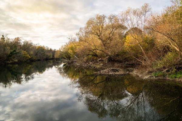 Yaprak Döken Ağaçları Yansıtan Küçük Bir Nehrin Güzel Bir Görüntüsü — Stok fotoğraf