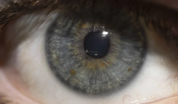 Eine Nahaufnahme Von Details Eines Blau Grünen Menschlichen Auges — Stockfoto