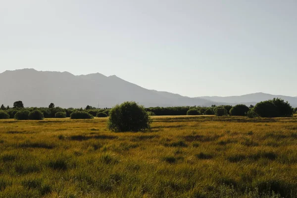 Una Hermosa Vista Campo Con Árboles Fondo Las Montañas Bajo — Foto de Stock