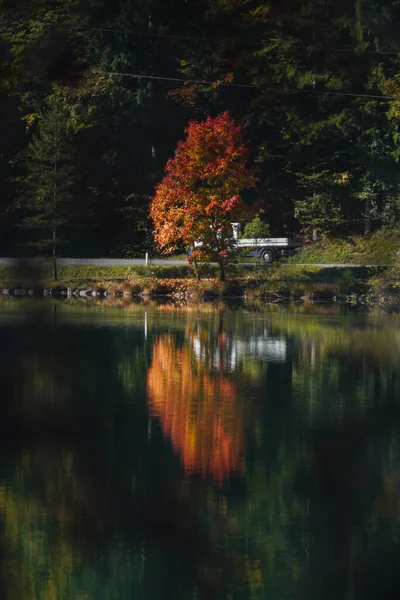 Tiro Vertical Árvores Refletido Lago Noite Tirol Áustria — Fotografia de Stock