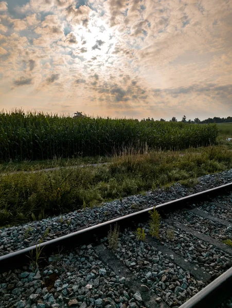 Vertical Shot Train Tracks Valley Sunny Day — Stockfoto