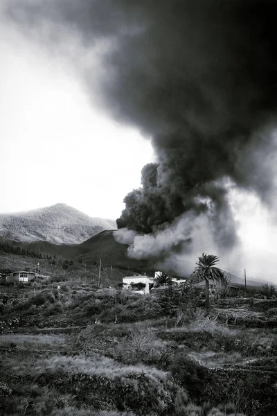 Gråskalig Bild Landskap Träd Och Rökfabrik Vid Solnedgången — Stockfoto