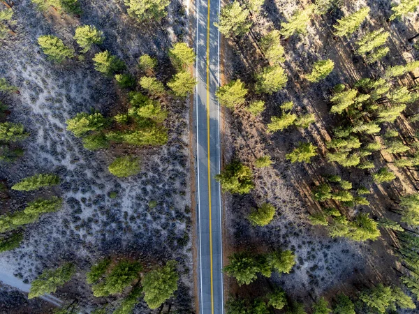 Вид Воздуха Узкую Длинную Дорогу Через Высокие Зеленые Деревья — стоковое фото