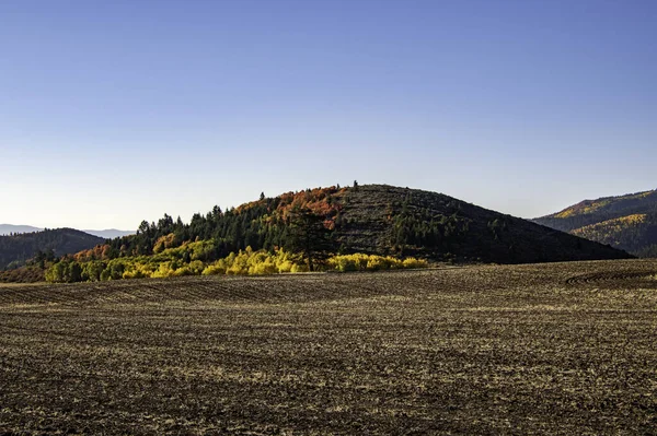 Podzimní Scenérie Stromů Vysočině Slunečného Dne — Stock fotografie