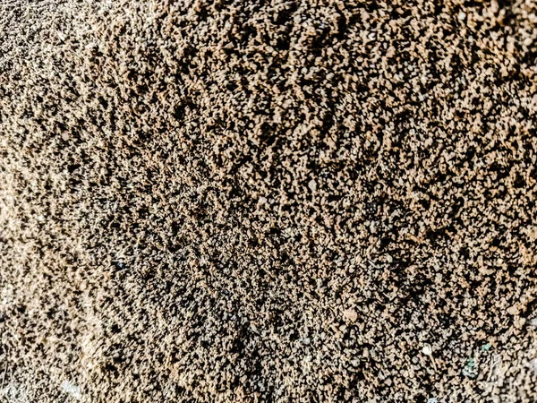 Concrete Sandy Background Sunlight — Stock Photo, Image