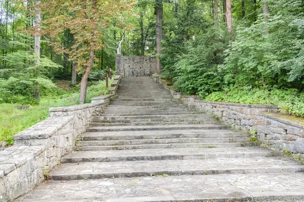Старая Каменная Лестница Ведущая Стене Растениями Растущими Через Отверстия Парке — стоковое фото