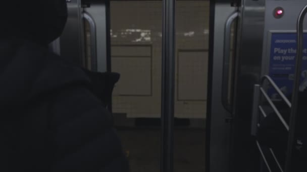 Footage People Subway Car — Video Stock