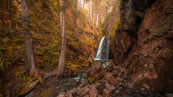 Ландшафт Маленького Водоспаду Тривалим Впливом Лісі Під Сонячним Світлом Восени — стокове фото