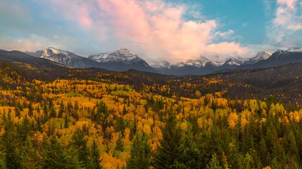 Een Landschap Van Rotsachtige Heuvels Vergelende Bomen Herfst Jasper National — Stockfoto
