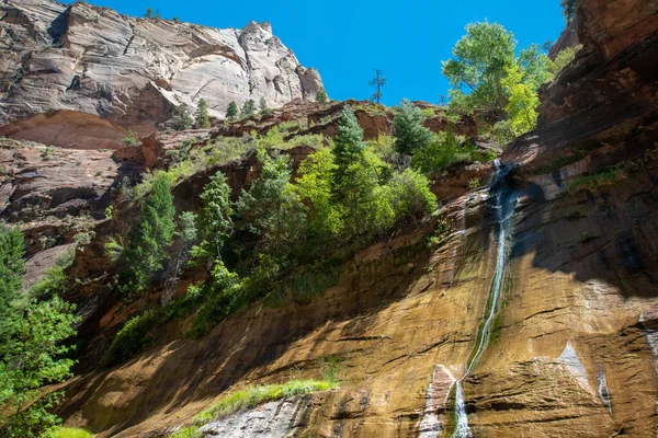 Egy Gyönyörű Kanyon Fal Vízesés Zion Nemzeti Park Keskeny — Stock Fotó