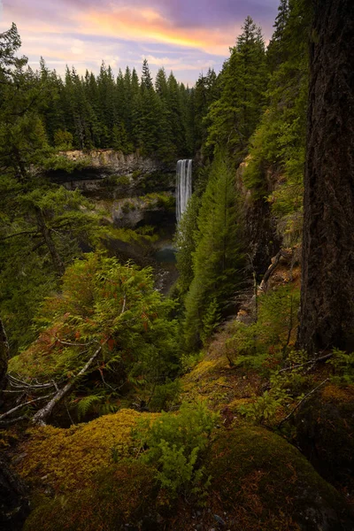 Uma Foto Vertical Uma Cachoeira Parque Provincial Brandywine Falls Durante — Fotografia de Stock
