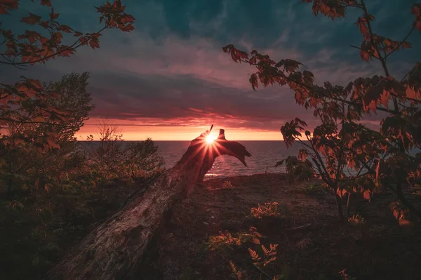 Nedgående Sol Toppar Genom Fallen Lång Stranden Sjön Superior Michigan — Stockfoto