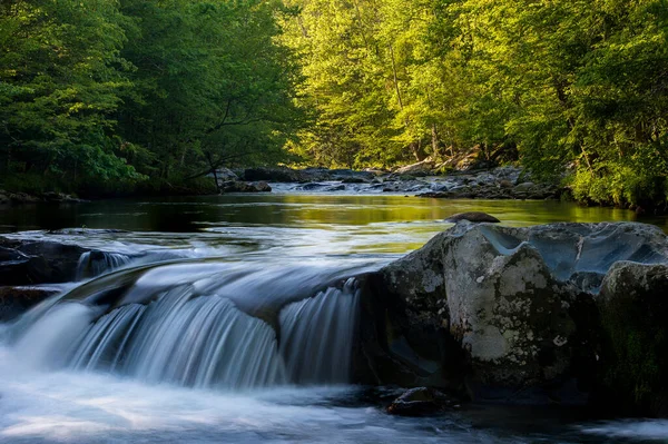 Una Hermosa Toma Río Que Fluye Bosque — Foto de Stock