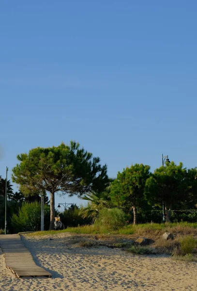 Relaxing View Green Land Sands Isla Canela Ayamonte Andalusia Spain — стоковое фото