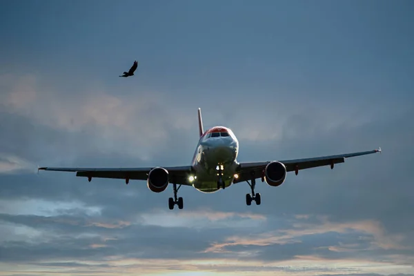날아가는 비행기 와새의 아름다운 — 스톡 사진